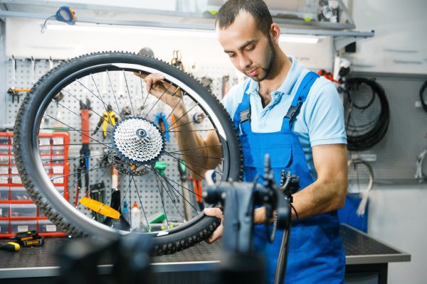 Bicycle Assembly Service in Alexandria